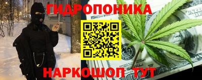 шишки Берёзовский