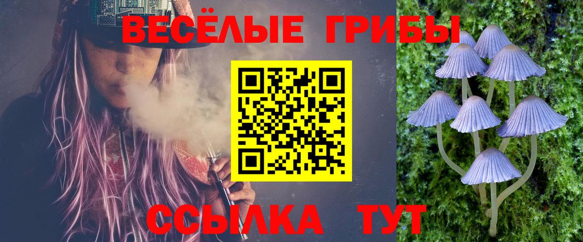 Галлюциногенные грибы Cubensis  Вход с VPN  Волжский 